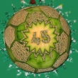 ... fotbalista slav� 45 (meloun cantaloup) ...